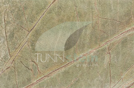 TunnStein®